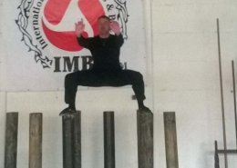 kung fu training