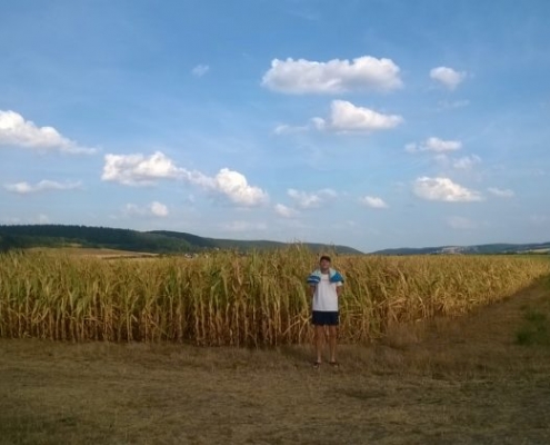 maisfeld